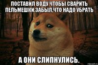 поставил воду чтобы сварить пельмешки.забыл,что надо убрать а они слипнулись.