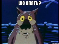 шо опять? 