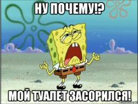 ну почему!? мой туалет засорился!