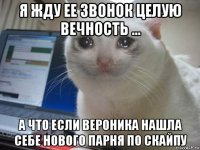 я жду ее звонок целую вечность ... а что если вероника нашла себе нового парня по скайпу