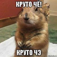 круто чё! круто чэ