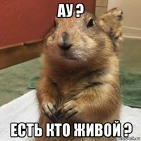 ау ? есть кто живой ?