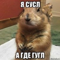 я сусл а где гугл