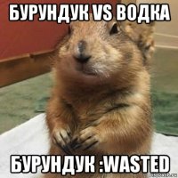 бурундук vs водка бурундук :wasted