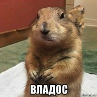  владос