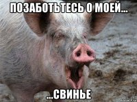 позаботьтесь о моей... ...свинье