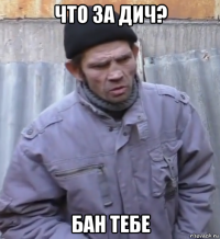 что за дич? бан тебе