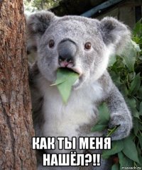  как ты меня нашёл?!!