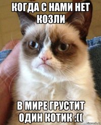 когда с нами нет козли в мире грустит один котик :((