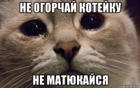 не огорчай котейку не матюкайся