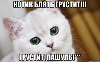 котик блять грустит!!! грустит, пашуль!***