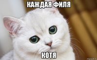 каждая филя котя