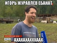 игорь журавлёв ебанат ахахахахххаах