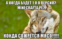 а когда будет 1.0.0 версия? minecrafta pe? кокда сожрётся мясо!!!!!