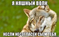 я няшный волк несли несогласен сьем тебя