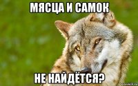 мясца и самок не найдётся?