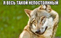 я весь такой непостоянный 