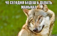 че сегодня будеш ь делать манька? 