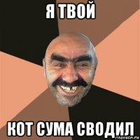 я твой кот сума сводил