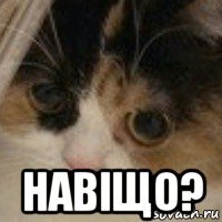  навіщо?