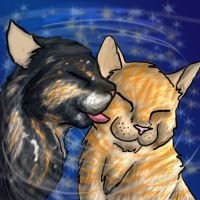 Все мемы Коты воители