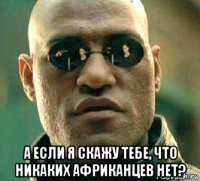  а если я скажу тебе, что никаких африканцев нет?