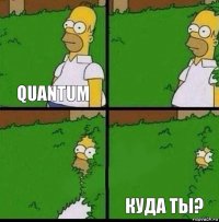 quantum   куда ты?