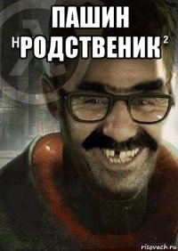 пашин родственик 