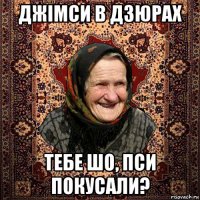 джімси в дзюрах тебе шо, пси покусали?