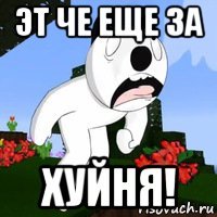 эт че еще за хуйня!
