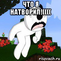 что я натворил!(((( 