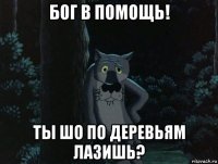 бог в помощь! ты шо по деревьям лазишь?