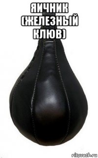 яичник (железный клюв) 