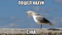 пошел нахуй сука