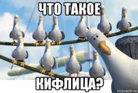 что такое кифлица?