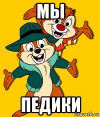 мы педики