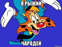 я рыжий чародей