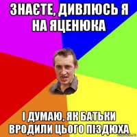 знаєте, дивлюсь я на яценюка і думаю, як батьки вродили цього піздюха