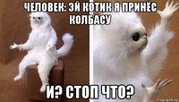 человек: эй котик я принёс колбасу и? стоп что?