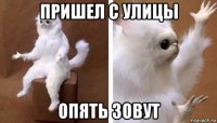 пришел с улицы опять зовут