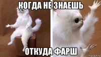 когда не знаешь откуда фарш