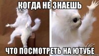 когда не знаешь что посмотреть на ютубе