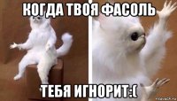 когда твоя фасоль тебя игнорит:(