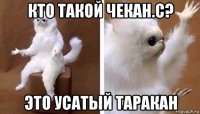 кто такой чекан.с? это усатый таракан