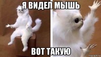 я видел мышь вот такую