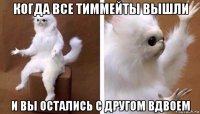 когда все тиммейты вышли и вы остались с другом вдвоем