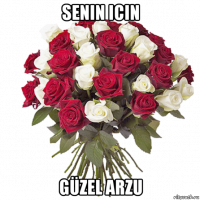 senin icin güzel arzu