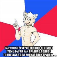  радужные фурри ( furrios pedicos ) такие фурри как правило полное говно даже для нормальной группы .