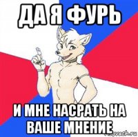 да я фурь и мне насрать на ваше мнение