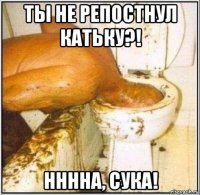 ты не репостнул катьку?! нннна, сука!